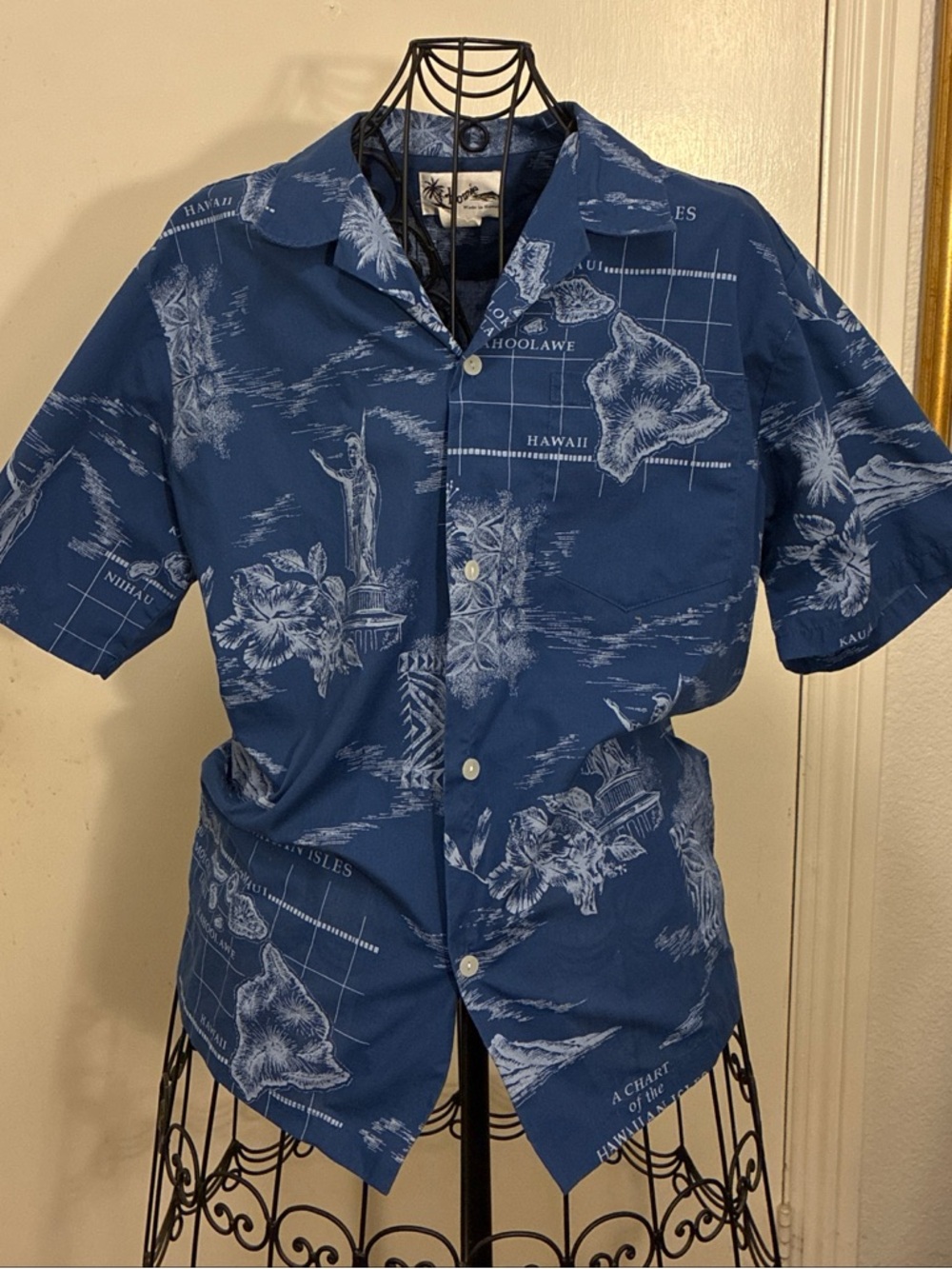 Blue Hawaiian Print Short-Sleeve Button-Down Shirt